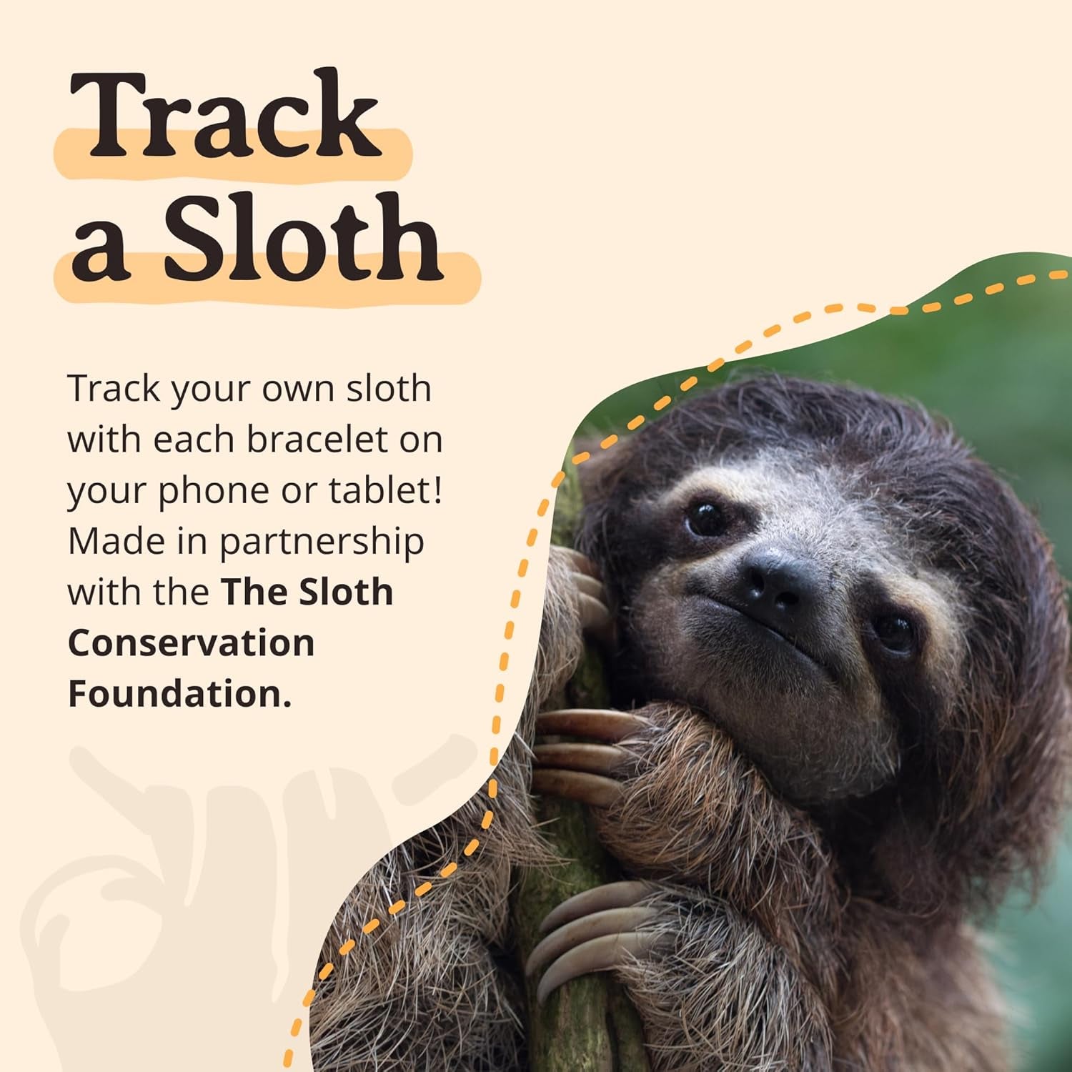 Sloth Tracking Bracelet, Elastic, Supports Sloth Conservation Foundation, One Size Fits Most for Men and Women