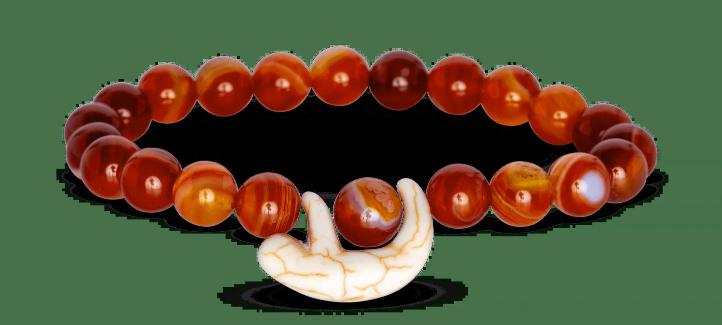 Sloth Tracking Bracelet, Elastic, Supports Sloth Conservation Foundation