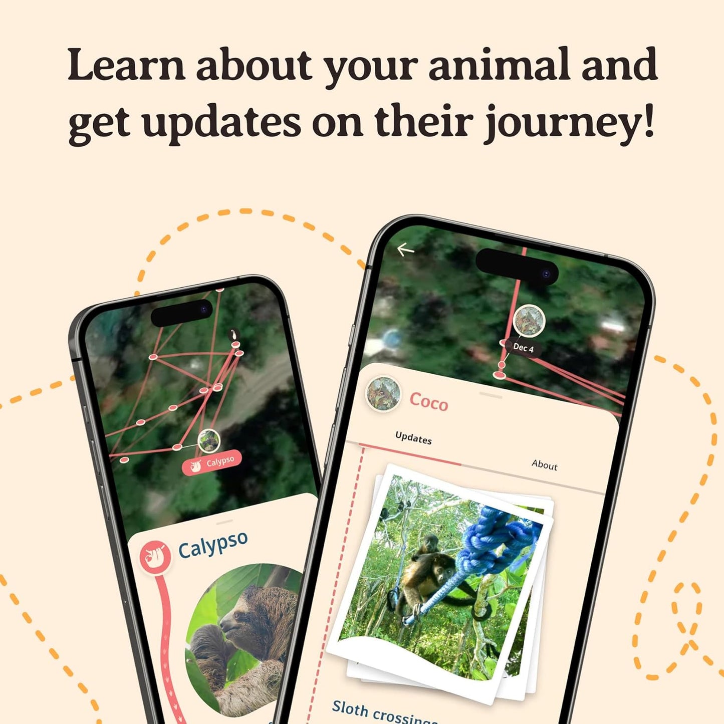 Sloth Tracking Bracelet, Elastic, Supports Sloth Conservation Foundation, One Size Fits Most for Men and Women