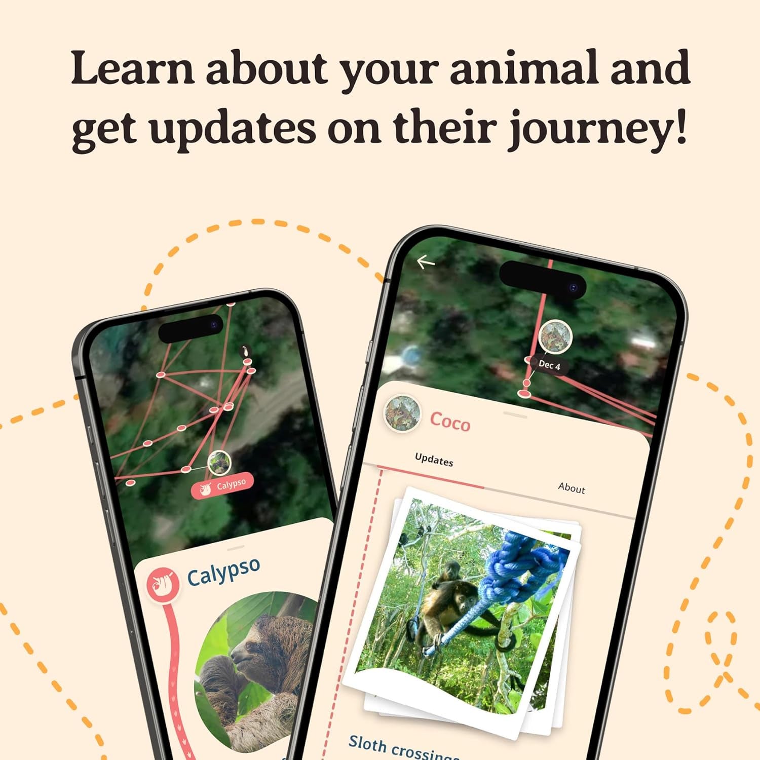 Sloth Tracking Bracelet, Elastic, Supports Sloth Conservation Foundation, One Size Fits Most for Men and Women